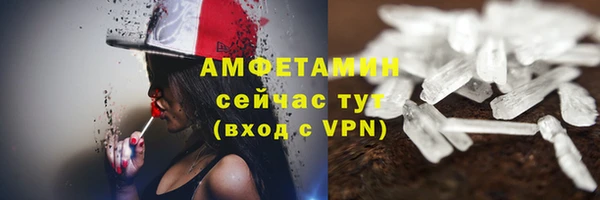 прущие грибы Осинники