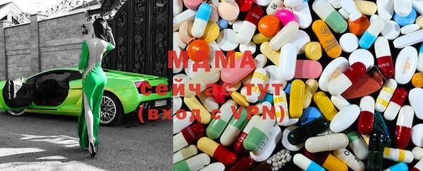 прущие грибы Осинники