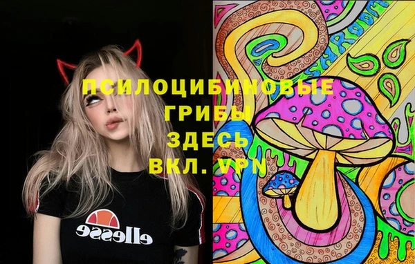 марки lsd Балахна