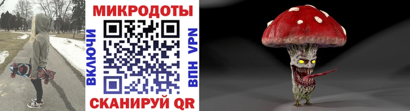 hydra   купить наркоту  Тайга  Псилоцибиновые грибы мухоморы 